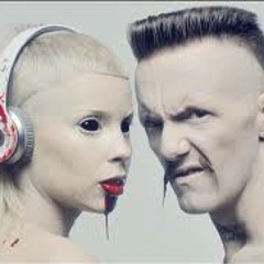 Die Antwoord; "Enter the Ninja" (T.I.83 Dubstep Remix)