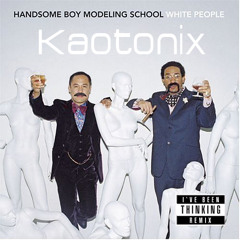 Handsome Boy Modeling School-I've Been Thinking (Kaotonix Remix)