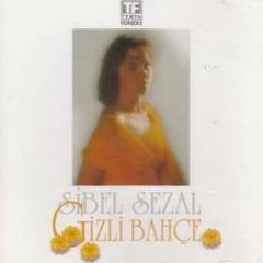 Gece Ay Şahit