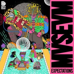 1. MVSEVM - Expectations