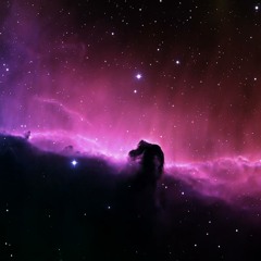 Meet Me In The Dark pt.II