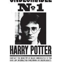 Harry potter dubstep