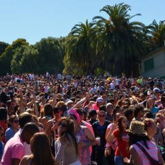 Bay Area Summer Slaps