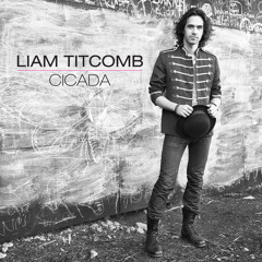 Liam Titcomb - Landslide
