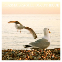 Plasma Seagull D!scotheque - Surfin' Bird (Remix) ft Peter G.