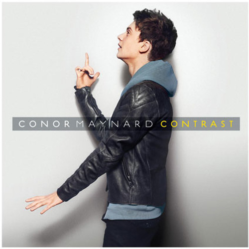 Animal - Conor Maynard