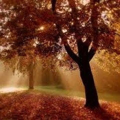 Sky Motion - Autumn Dreams (SoundLift Remix)