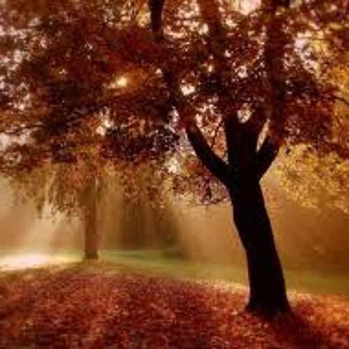 Sky Motion - Autumn Dreams (SoundLift Remix)