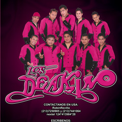 ME VAS A EXTRANAR-LOS DE AKINO