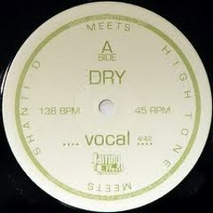 DRY (Shanti D) rmx sample- Dub Invaders ( RoOts'N Future Hi-Fi & Fabasstone)