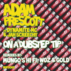 On A Dubstep Tip (Mungo's Hi Fi remix)
