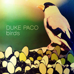 Duke Paco - Birds