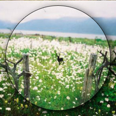 Felice - Swingy (Wild Culture's Swing Remix) [FEETFOOD]