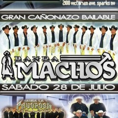 Viernes Banda Azul. sábado Banda Machos at Oasis de Sparks, nv