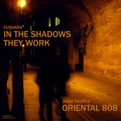 Fushara - In The Shadows They Work