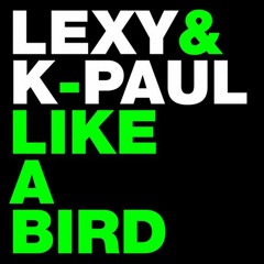 Lexy & K-Paul - Like a Bird (WillBeatz RmX)