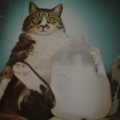 "Odd Lovers" - AlXX (Odd Toddlers Instrumental)