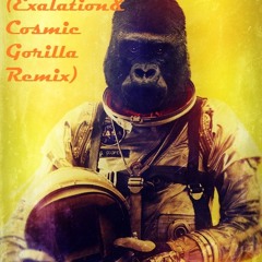 Hardwell-Spaceman exalation&cosmic gorilla  progressive remix