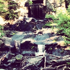 "CareFreeLivin'" by Shaddy & DrummaDrumma ft. $kom Brady