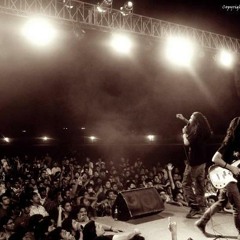 Ageless Yard-Rise Again