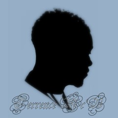 Terrence Mc'B-Take a shot for me(Drake cover)