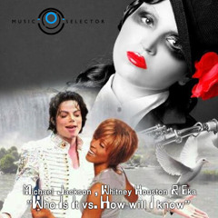 Michael Jackson & Whitney Houston with Eka - How will i know who is it ? (DJ Yan Remix 2012)