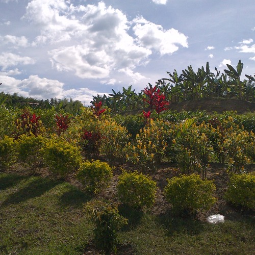 Exclusivamente Mia/Lefty Perez