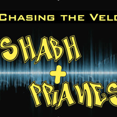 Rishabh&Pranesh: Chasing The Veldt [Deadmau5 vs. Snow Patrol] - PREVIEW