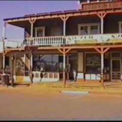 The Clean - Wild Western Shores (live)