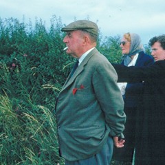 Everybody Here Wants You