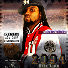 Niggus Slaves Like Us