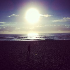 Let The Sunshine 2012 (Monroe Edit 1)