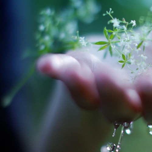 আকাশে ছড়ানো মেঘের কাছাকাছি...