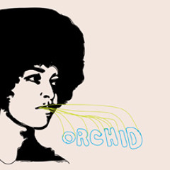 Orchid - no we don't have any t-shirts
