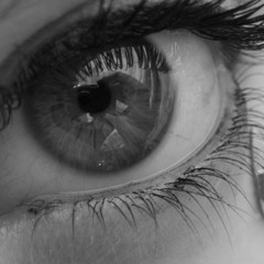 Little Swallow (old demo tape version)