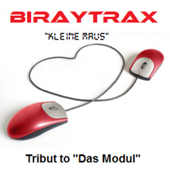 BiRayTrax - Kleine Maus (Tribut to ´Das Modul´) (Cut)