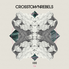 CRM100 B1. Tiga - Pleasure From The Bass (Subb-an Remix)