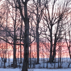 Square Root of Sleep