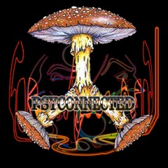 Psyconnected - static noize
