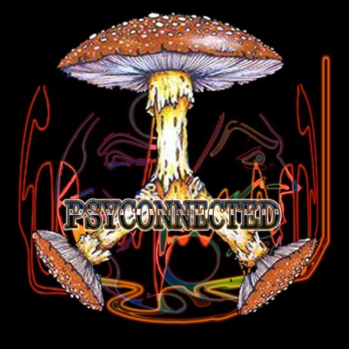 Psyconnected - static noize