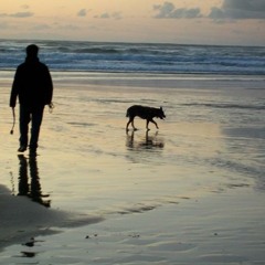 Night of the Lepus - Sleeper