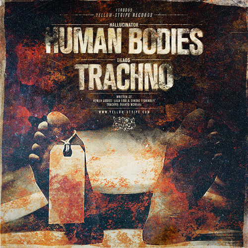 Listen to playlists featuring Hallucinator Human Bodies (YSRD005) by
