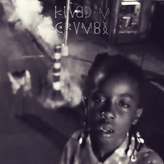 KINGDOM CRUMBS - For the Birds