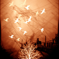 Wire Farm - One in a million remix live @ the belmont