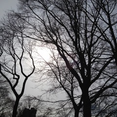 4-Johann Pachelbel - Canon