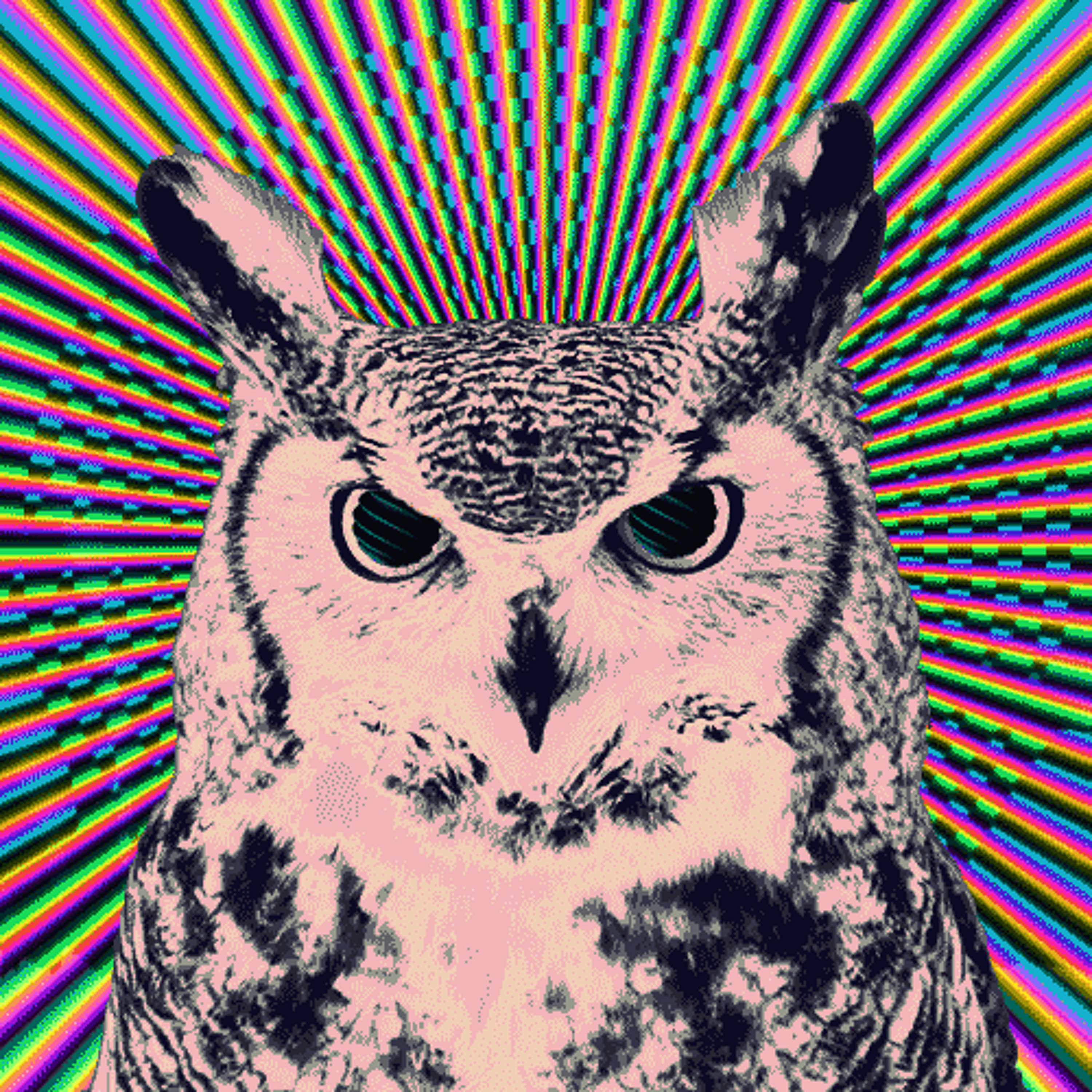 Night Owl episode artwork