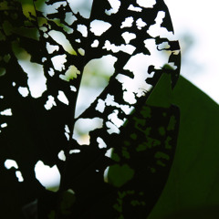 A person And A Bench