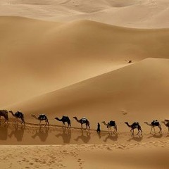 Desert caravan