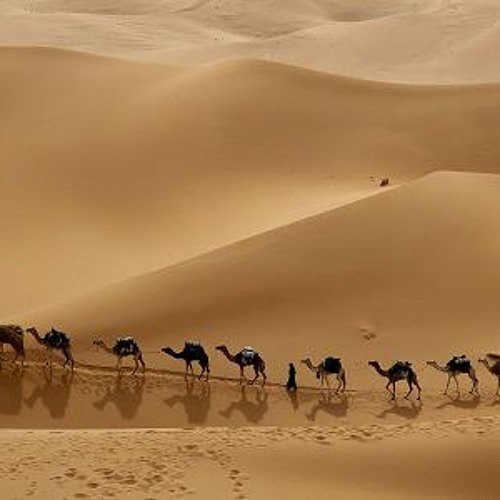 Desert caravan