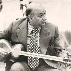 تکنوازان ۷۷۶ : شهناز ، بدیعی ، ملک